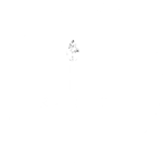 Logo von MinT Products