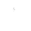 Logo von MinT Products